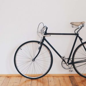 Easy Rider single speed